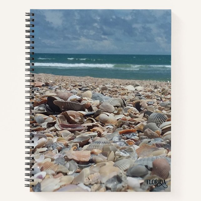 Florida Seashell Atlantic Ocean Beach Nature Foto Notizbuch (Vorderseite)