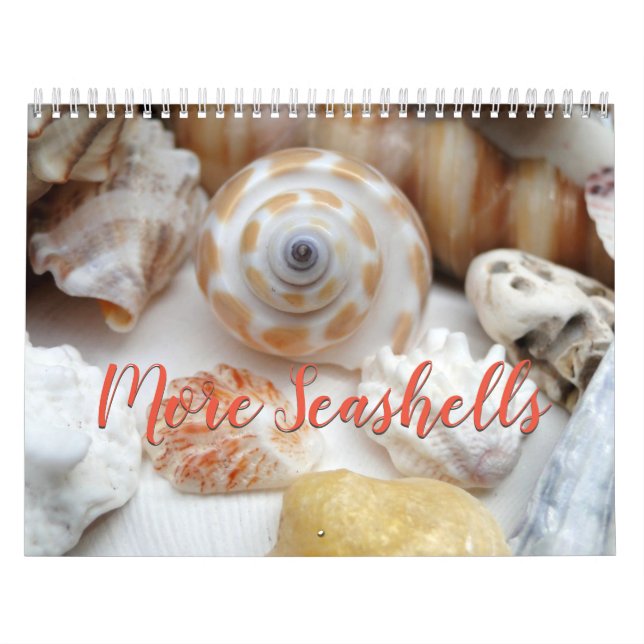 Florida Seashell Fotokalender Band 2 Kalender (Titelbild)