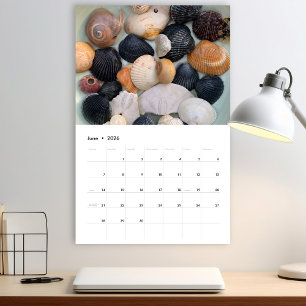 Florida Seashell Fotokalender Band 2 Kalender