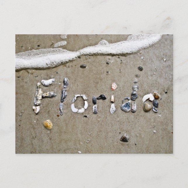 Florida Seashell Postcard Postkarte (Vorderseite)