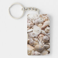 Florida-SeeMuschel-Hintergrund - Strand-Muscheln