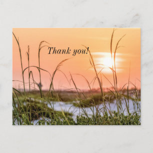 Florida-Seeoats Sonnenaufgang Danke Postkarte