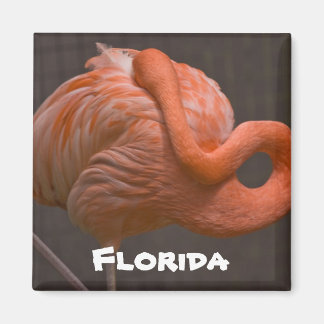 Florida Shy Flamingo Magnet