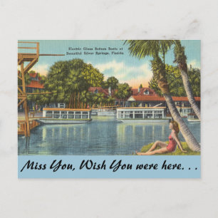 Florida, Silver Springs Postkarte