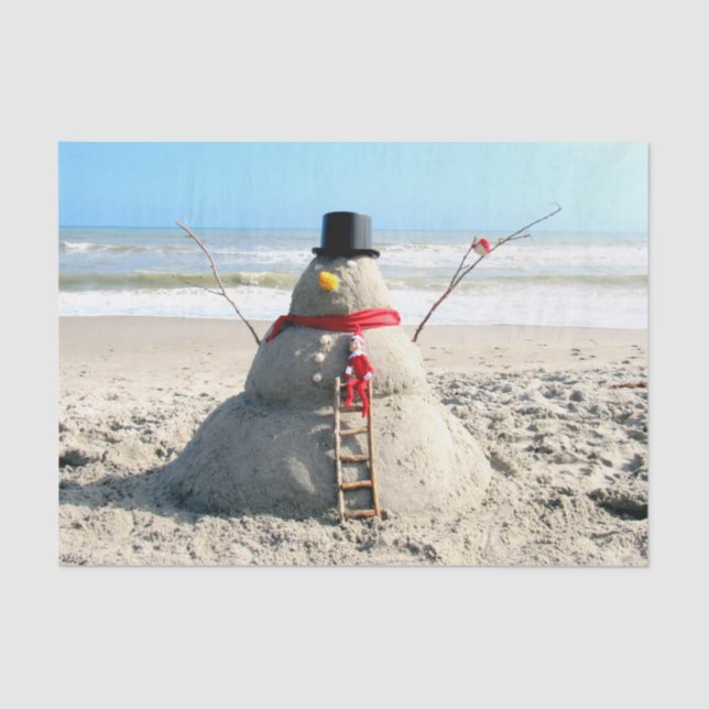 Florida Snowman - Skulptur - Gewebepapier Seidenpapier (Vorderseite)