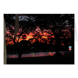 Florida-Sonnenuntergang