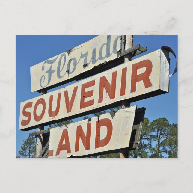 Florida Souvenir Land Vintag Sign Postkarte (Vorderseite)