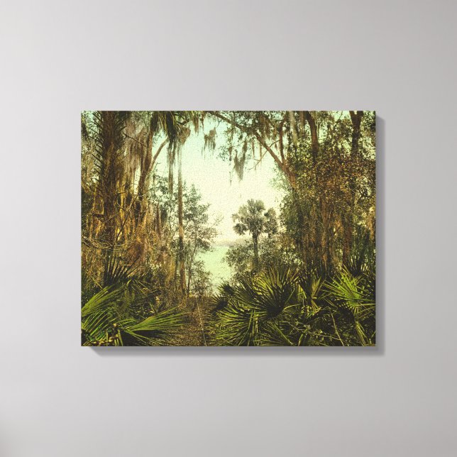 Florida, St. Johns River 1898 Foto Leinwanddruck (Vorderseite)