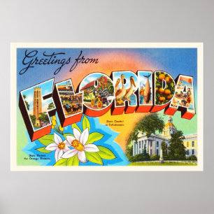 Florida-Staat #1 alte Vintage Reise-Andenken Poster