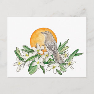 Florida Staat Bird und Blume Postkarte
