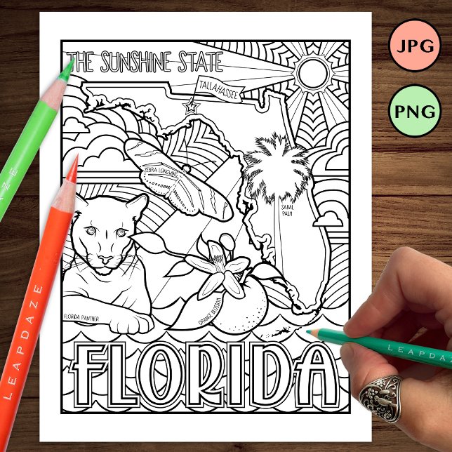 Florida Staat Form und Faktenfärbung Flyer (Von Creator hochgeladen)