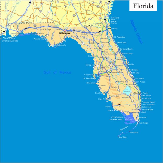 Florida Staat Map Freistehende Fotoskulptur (Vorne)