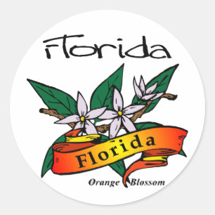 Florida-Staats-Blumen-Orangen-Blüte Runder Aufkleber