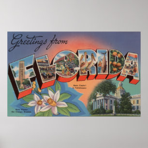 Florida (Staats-Hauptstadts-Szene) Poster