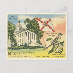 Florida Staatssymbole Vintage Tallahassee Postkarte
