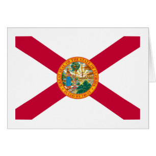 Florida State Flag Design