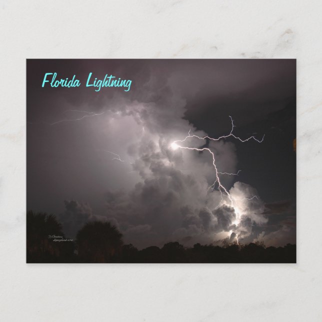Florida Storm Lightning Postcard Postkarte (Vorderseite)