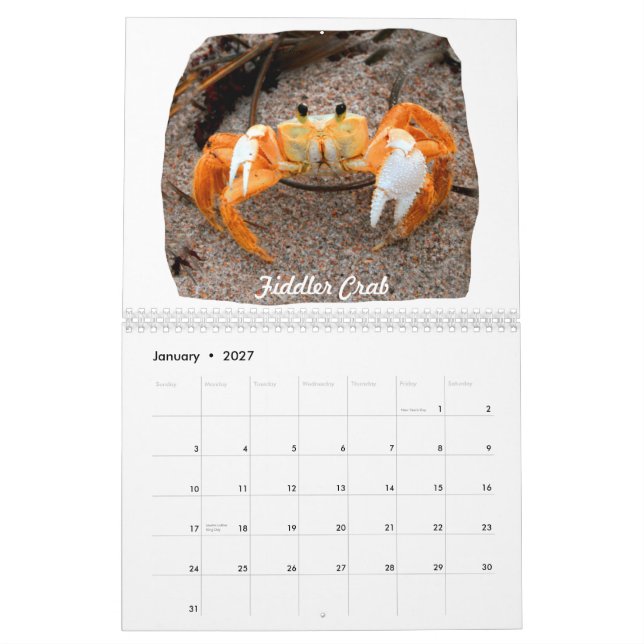 Florida-Strand-Bild-Fotos Kalender (Jan 2027)