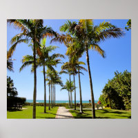 FLORIDA STRAND PALM BÄUME TROPISCHEN PARK