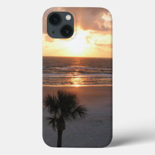 Florida sunrise iPad Air Hüllen