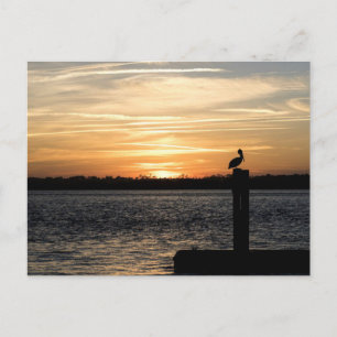 Florida Sunset mit Pelican Postkarte