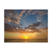Florida Sunset - Postkarte