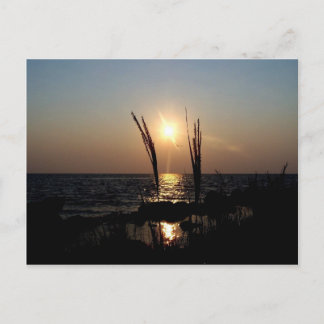 Florida Sunset Postkarte