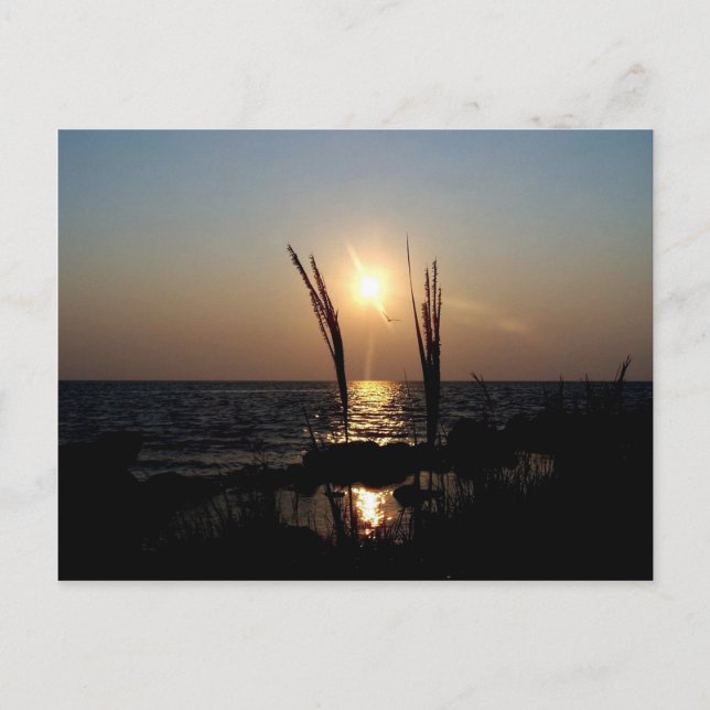 Florida Sunset Postkarte (Vorderseite)