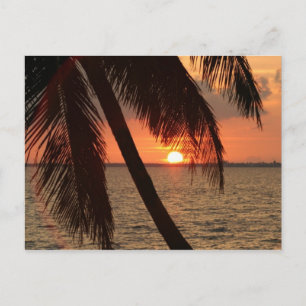 Florida Sunset Postkarte
