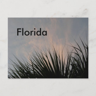 Florida Sunset - Postkarte