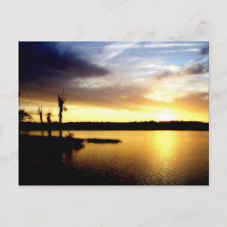 Florida Sunset Postkarte