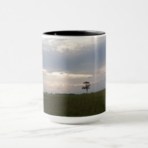 Florida Sunshine on lone pine tree Nature Foto Tasse