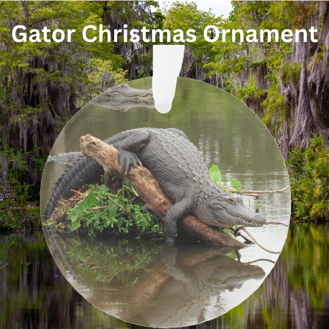 Florida Swamp Gator - Akryler Ziergegend Ornament (Von Creator hochgeladen)