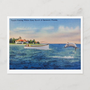 Florida-Tarpun-Fischerei Postkarte
