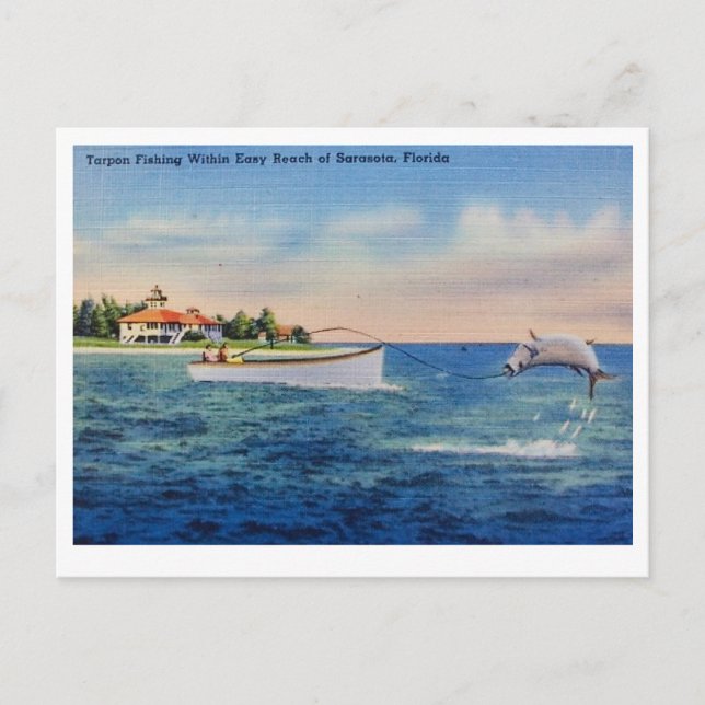 Florida-Tarpun-Fischerei Postkarte (Vorderseite)