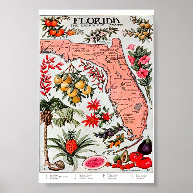 Florida the Everglade State Map Poster (Vorne)