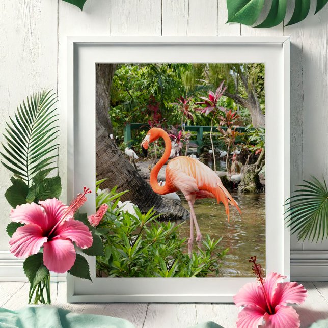 Florida Travel Foto Fotografy Posters Poster (Tropical gifts pink flamingo photography by Victoria Grigaliunas Bonita Springs Wonder Gardens)