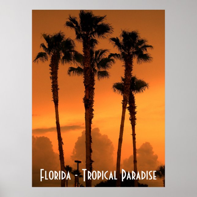 Florida Tropical Paradise Sunset Poster Foto (Vorne)