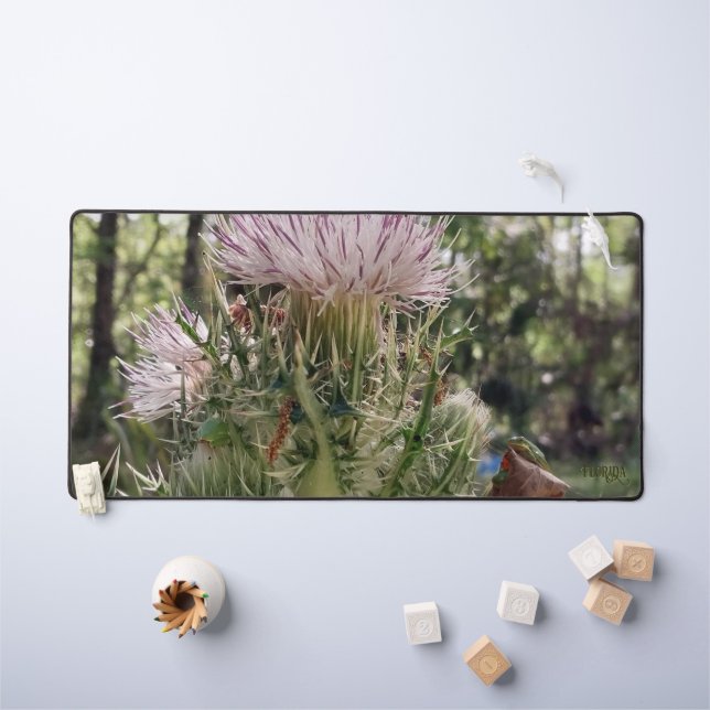 Florida Two Frogs on a Milk Thistle Natural Foto Schreibtischunterlage (Kindertisch)