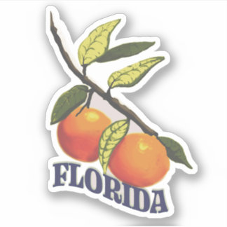 Florida Vintag Orange Aufkleber