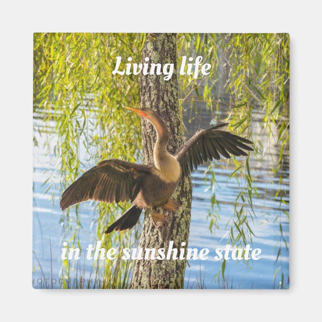 Florida vögel 2 Zoll Square Magnet (Vorne)