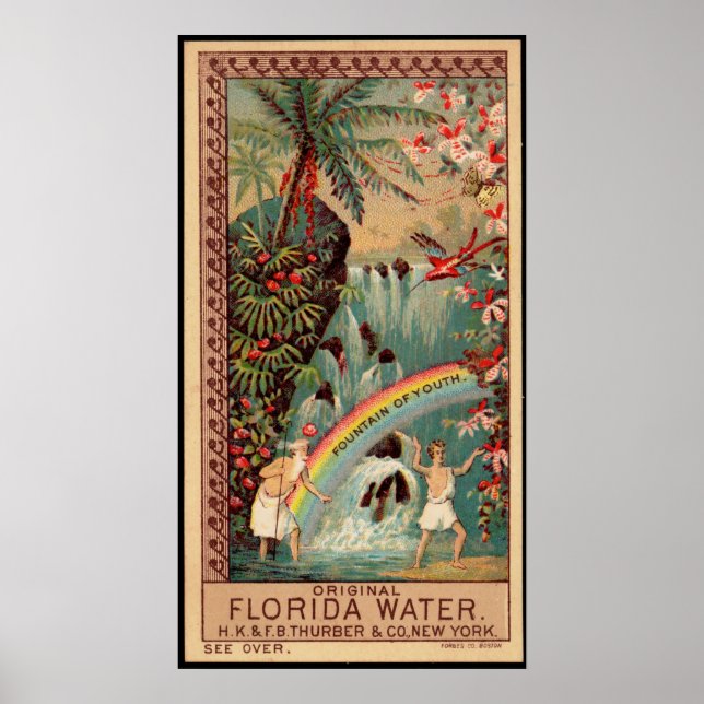 Florida Wasserbrunnen Vintag Poster (Vorne)