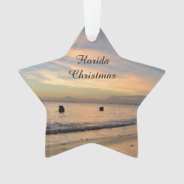 Florida-Weihnachtsverzierung Ornament