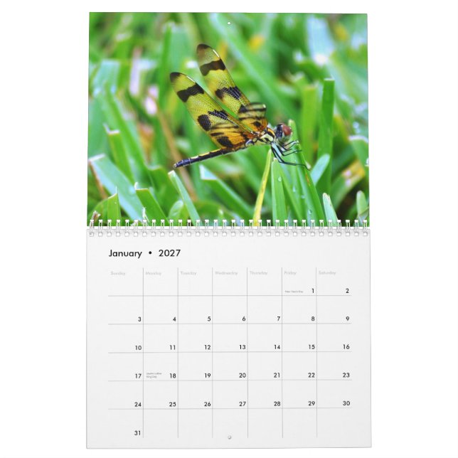 Florida-wild lebende Tiere Kalender (Jan 2027)