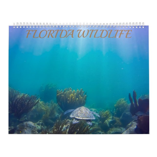 Florida Wildlife Calendar 2020 Kalender (Titelbild)