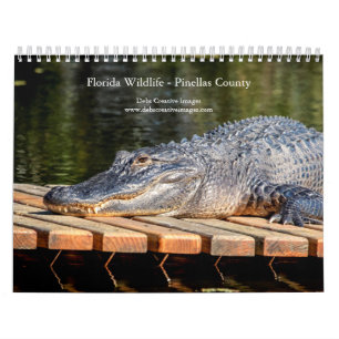 Florida Wildlife in Pinellas Landkreis 2025 Kalender