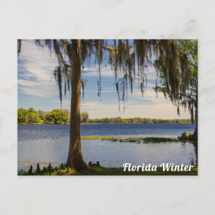 Florida Winter Postcard Postkarte