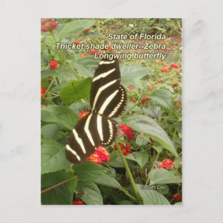 Florida Zebra Longwing Butterfly Postkarte