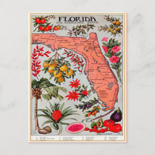 Floridas Fülle Vintage-Postkarte Postkarte
