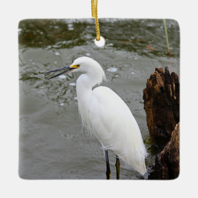 Floridas singender Reiher Keramikornament (Vorderseite)